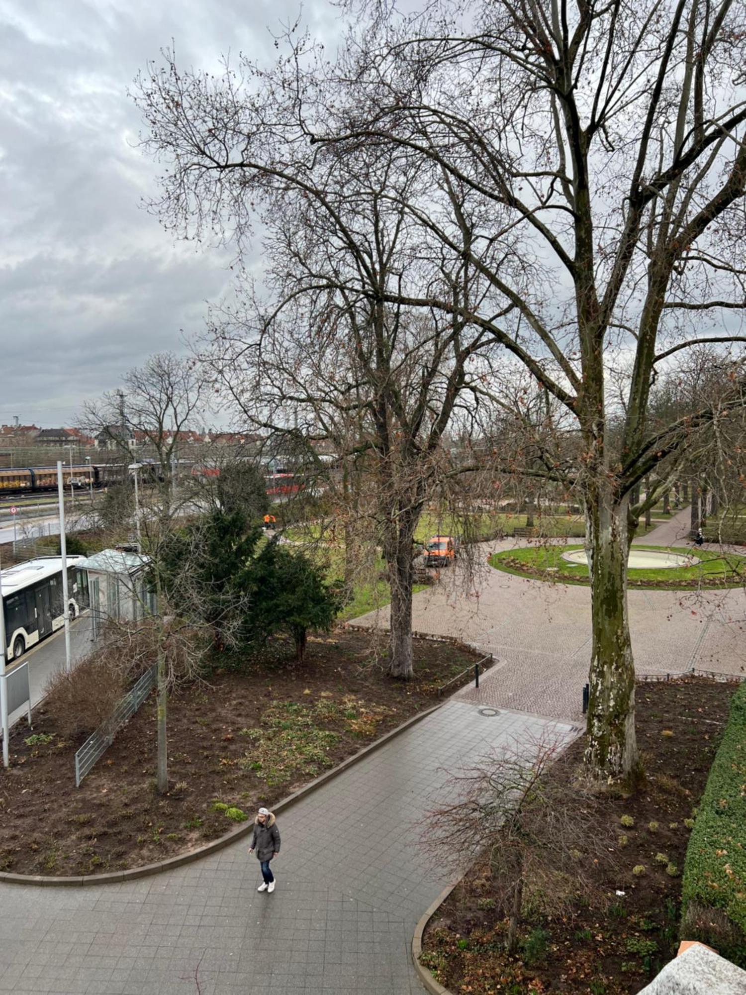 Albert-schulte-park Apartment- Apartment Worms